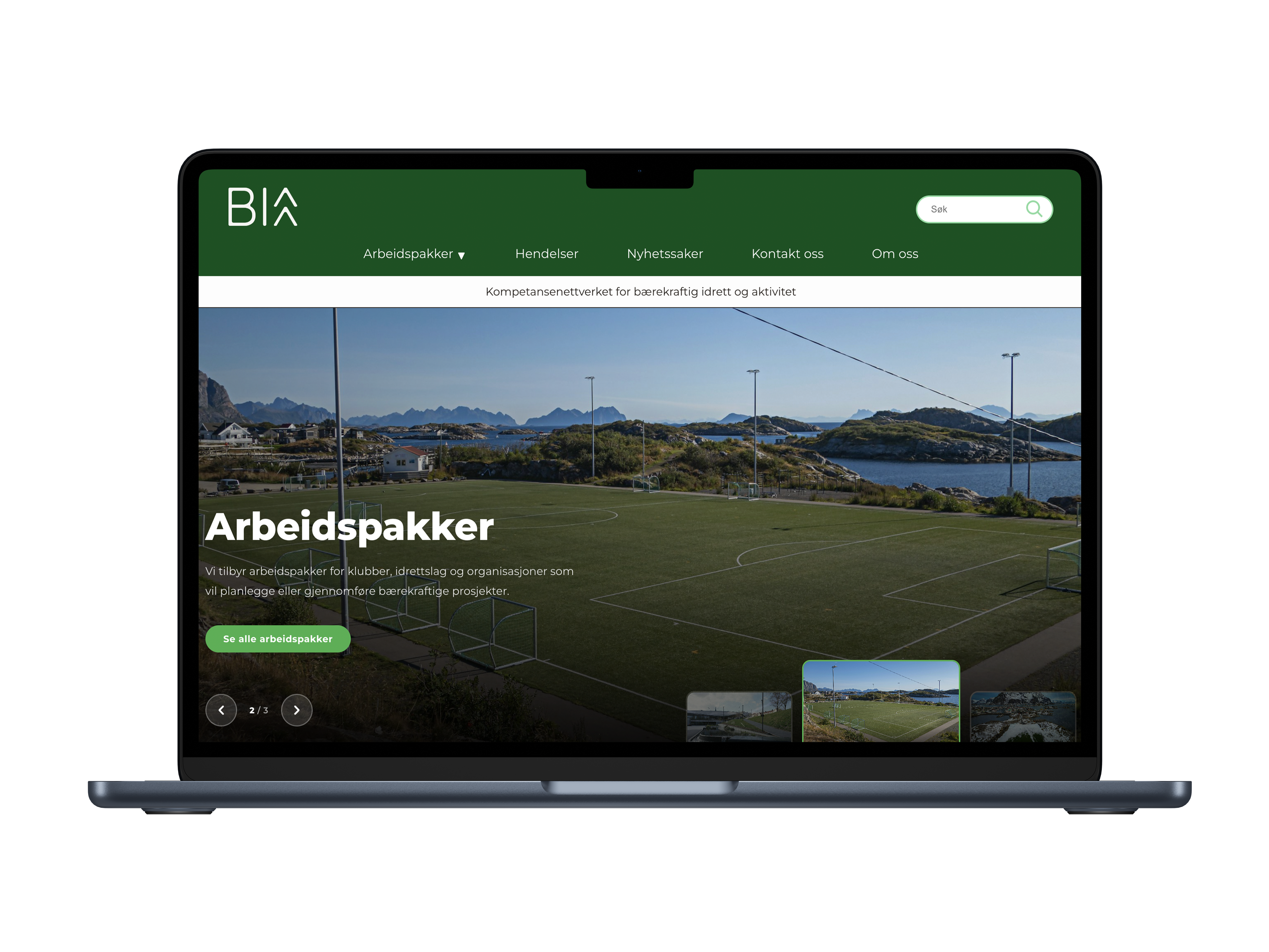 Building BIAA’s Presence — Website and visualisation