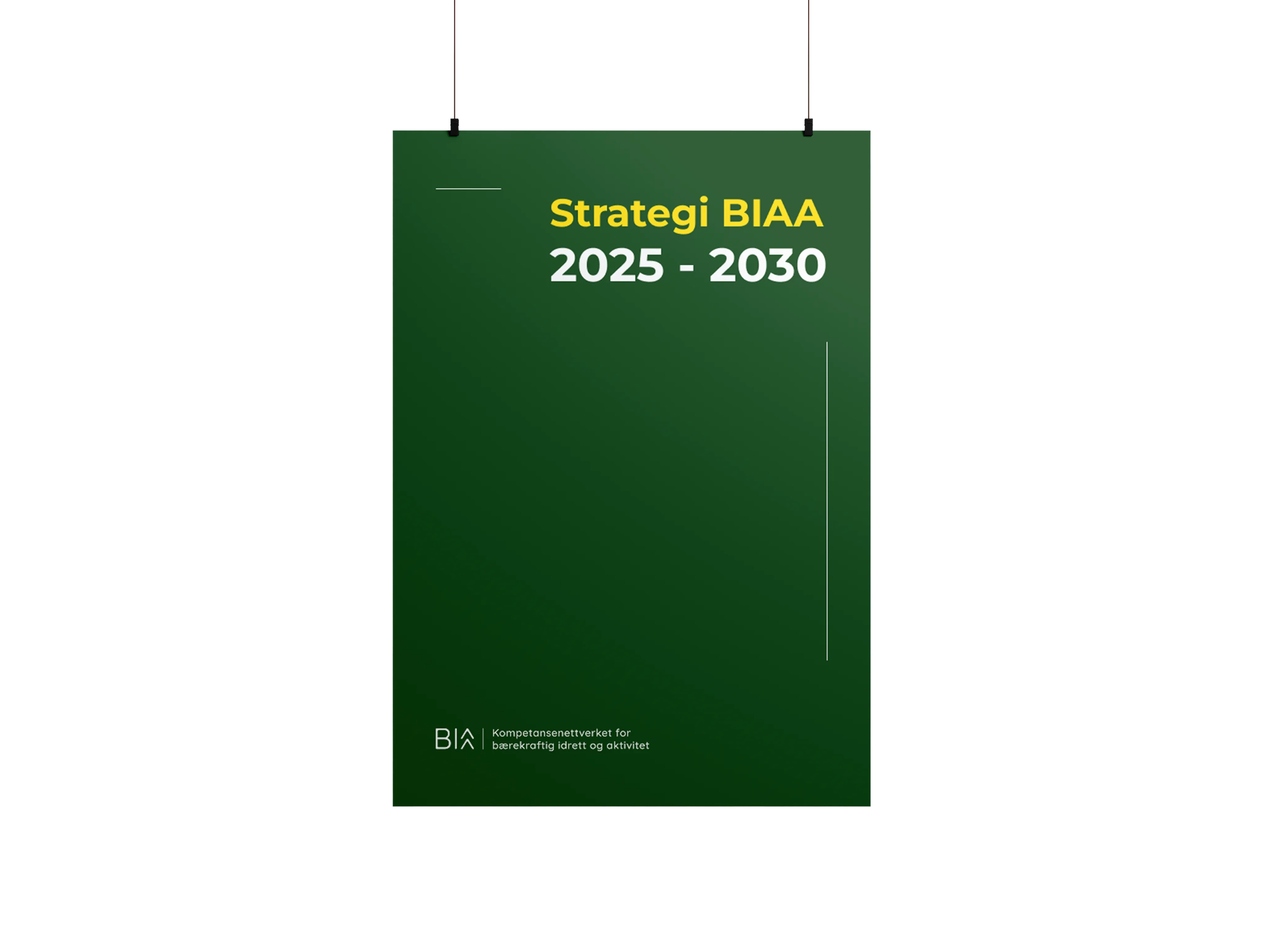 Building BIAA’s Presence — Strategy and communication