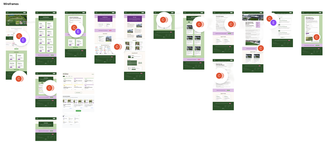 Building BIAA’s Presence — Website wireframes
